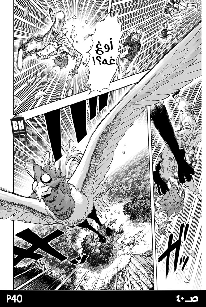 صفحة 40