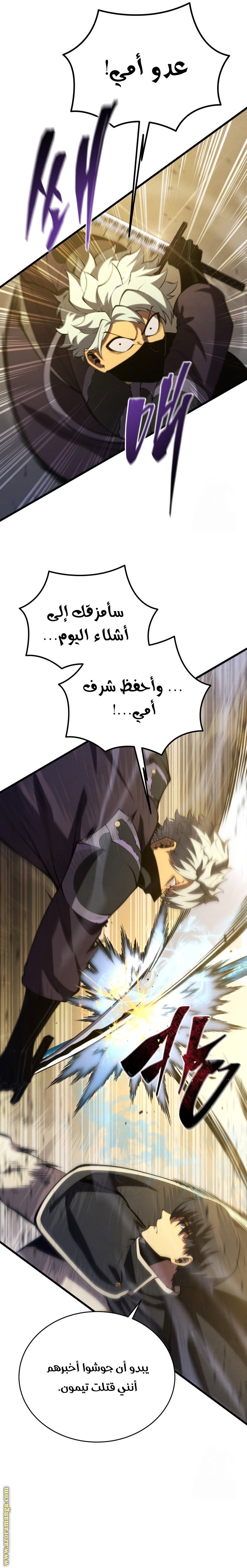 صفحة 17